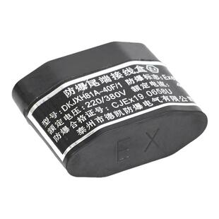 ZDJH-40F/1电伴热带专用防爆尾端接线盒防爆终端接头220V/380V