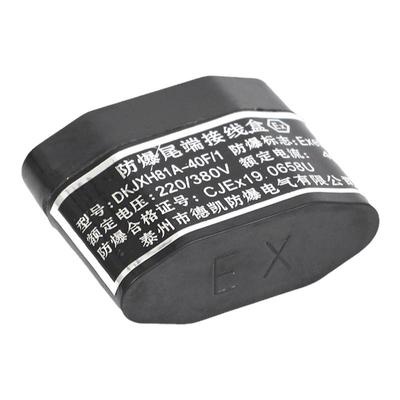 伴热带防爆尾端接线盒终端接线盒