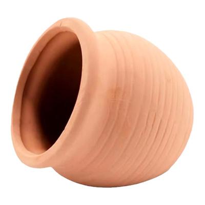 奶嘴防跑神器海葵窝奶嘴杯地毯屋小丑家葵巢海葵容器珊瑚罐子造景