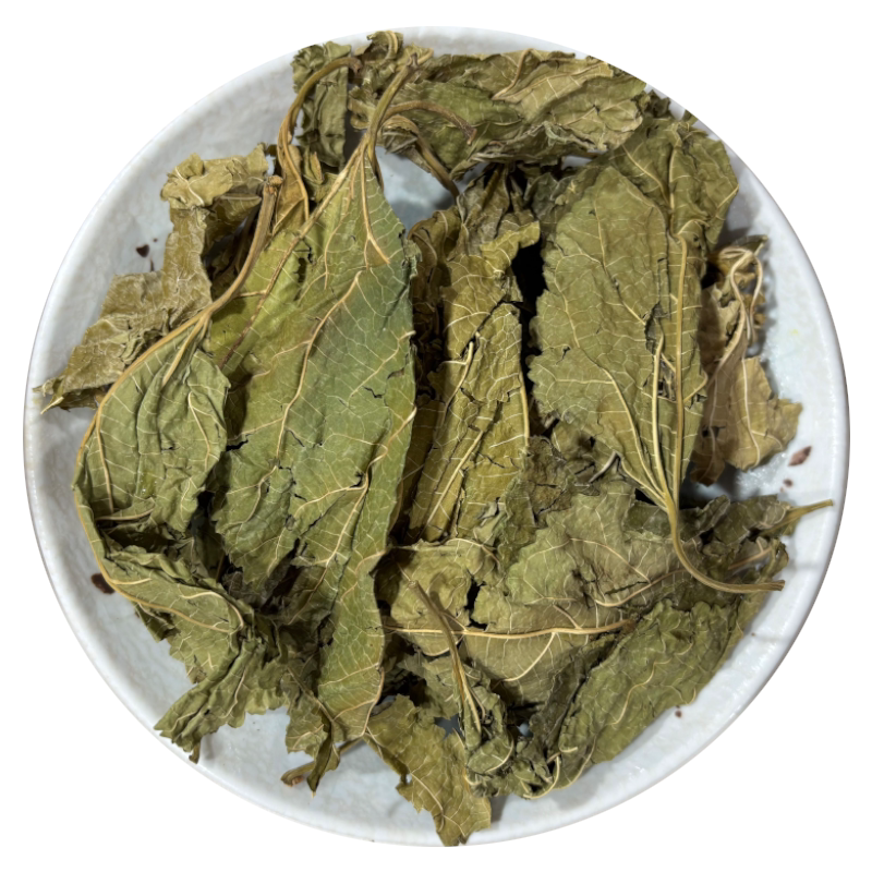 霜桑叶 当季新货 冷库保存 色绿新鲜 云南冬桑叶茶桑叶霜桑叶药材