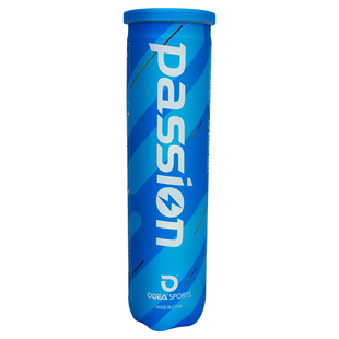 ODEA欧帝尔网球Passion Tour罐装高弹耐打耐磨专业比赛训练4粒装