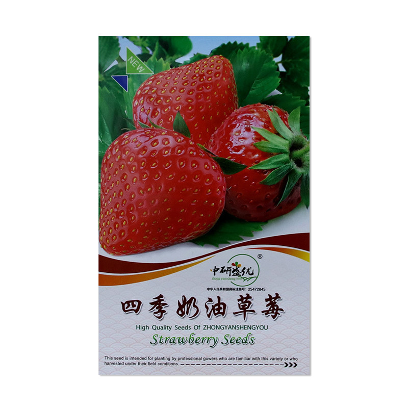 中研盛优四季奶油草莓种子