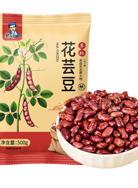 东北花芸豆当季新豆手工挑选