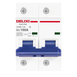 德力西断路器大电流大功率家用过载电闸1P2P3P 100A空气开关 空开