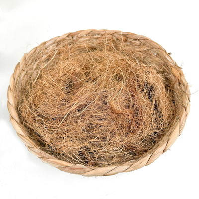 深深宠鹦鹉鸟窝椰丝垫料