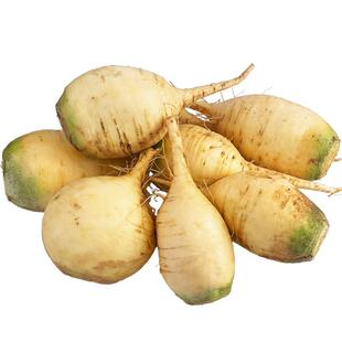 农家河北现挖新鲜黄蔓菁疙瘩菜芜菁蛮茎甜面大头菜蔓菁小米粥搭档