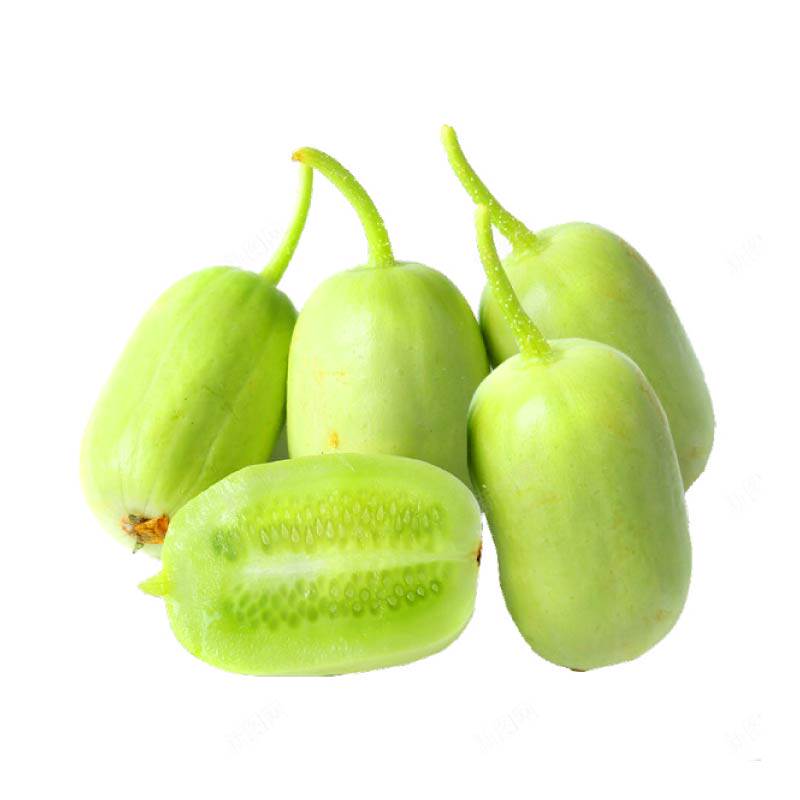 寿光金童玉女黄瓜苗秧四季高产水果蔬菜苗小蔬菜种苗阳台盆栽小院