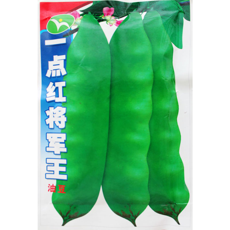 一点红将军王油豆种子油豆角种籽高产豆角芸豆蔬菜种孑东北菜籽