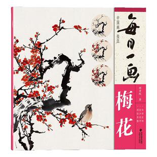 每日一画——中国画技法•梅花  基础教程书写意水墨画花鸟册页 工笔画花卉技法画法大全集教材 国画初学者画花卉蔬果 福建美术
