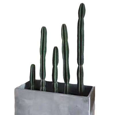 植上春树量天尺仙人掌组合盆栽