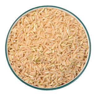 粳米中药材新货中草药材散装新鲜白米粳粟米稻米干货可泡水