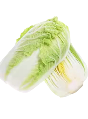 大白菜 新鲜东北 蔬菜 农产品现摘 青菜 腌酸菜大叶 包饭 整颗4斤