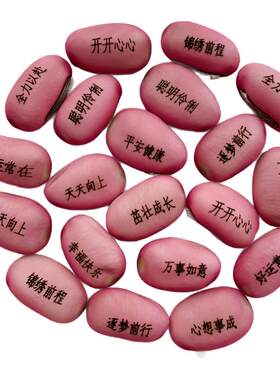 豆子儿童节礼物种植盆栽
