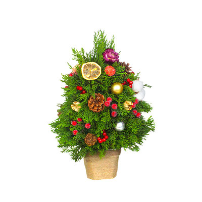 圣诞节新年插花新鲜松枝圣诞树