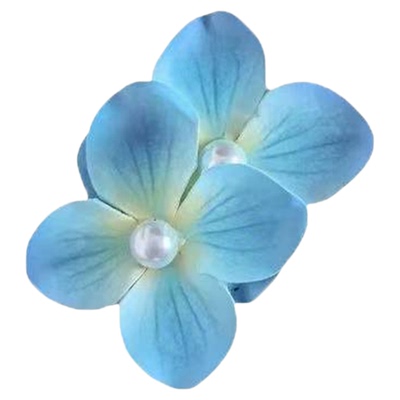 薄荷曼波蝴蝶兰花朵发夹