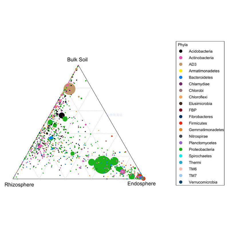circos圈图 chord弦图 韦恩图 进化树 花瓣图 生信分析R语言画图
