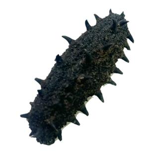 9年大连深海野生淡干海参海参干货500g深海辽刺参海参礼盒顺丰邮