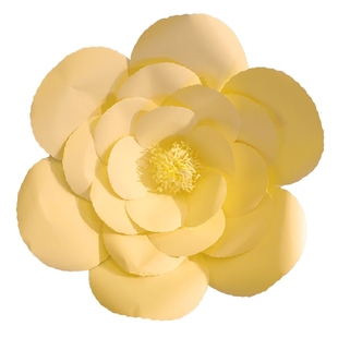 纸花装饰背景墙艺术文化长廊装饰花墙橱窗布置道具手工纸艺花杏花