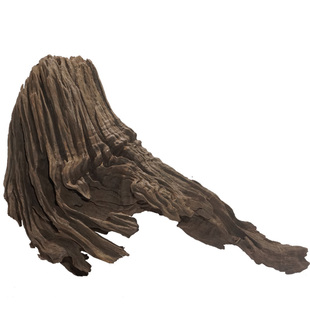 天然爬宠攀爬造景木睫角守宫蜥蜴躲避枯木水陆缸布景蛇寄居蟹爬台