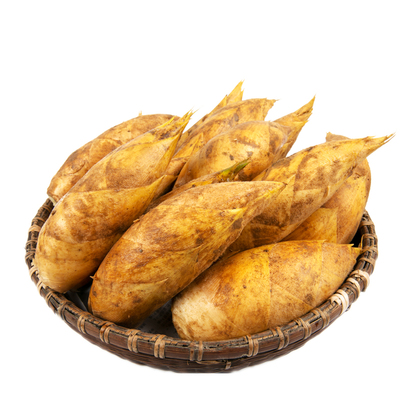 顺丰遂昌高山冬笋当天现挖鲜嫩