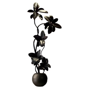 黑金刚橡皮树客厅绿植高级感大盆栽植物轻奢办公室内落地高端好养