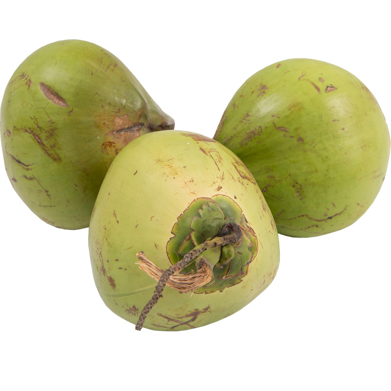 10个装海南椰子新鲜带皮椰青孕妇水果椰汁椰子蛋青椰奶冻文昌嫩椰