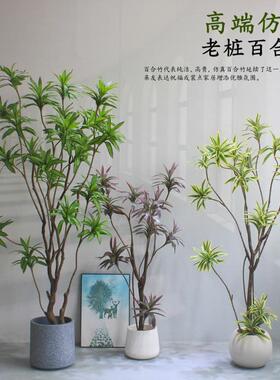 高端模拟绿色植物老堆百合竹橱窗商店客厅办公室装饰假花树景观