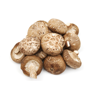 新鲜香菇500g 食用菌菇肉厚味美个头均匀煲汤炒菜西餐酒店蘑菇