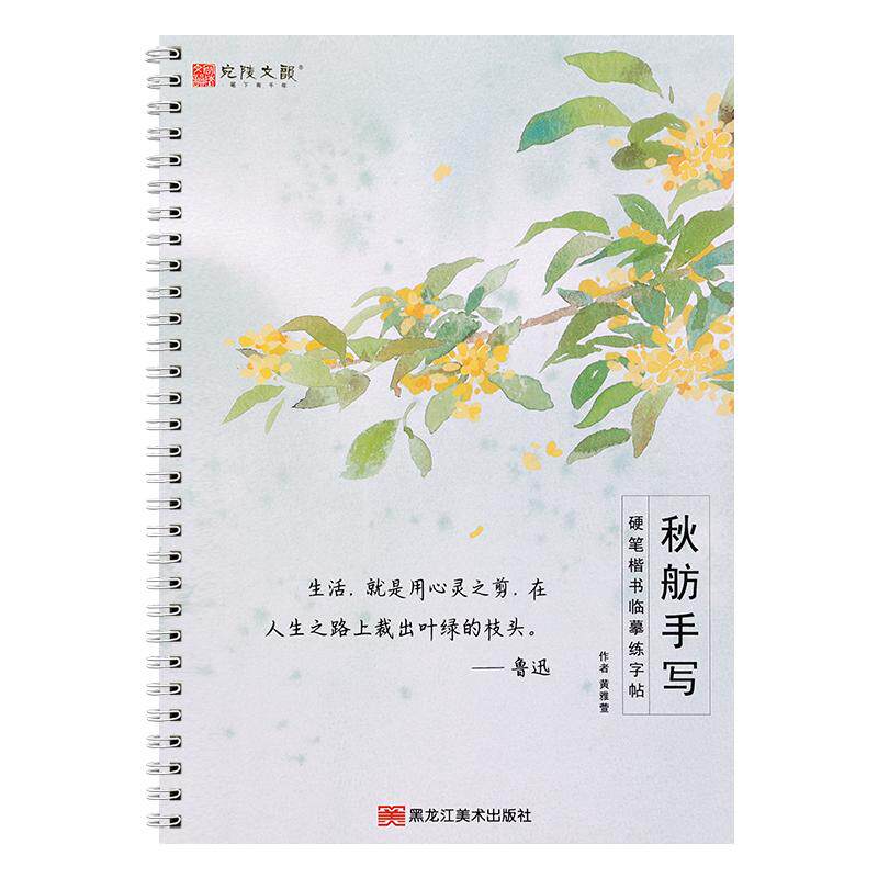 优选书摘大学生正楷读写两用