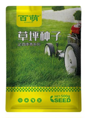 百萌进口高羊茅草坪种子易种