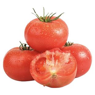 陕西泾阳普罗旺斯西红柿新鲜自然熟水果当季沙瓤西红柿番茄蔬菜