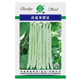 中蔬白富美架豆种子九粒白芸豆种籽大全四季菜豆蔬菜种孑农家