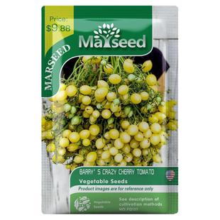 【官网高分】野猪农场新品BARRY CRAZY巴里的疯狂的巴里番茄种子