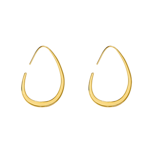 椭圆耳环女小众设计感高级气质耳圈2025年新款潮复古耳饰夸张耳坠