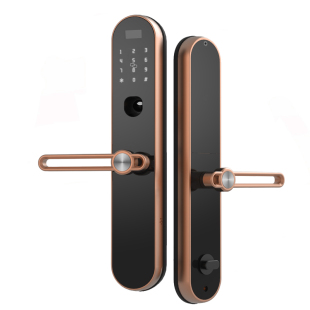 密码锁智能电子门家用入户防盗电子半自动包上门安装指静脉纹大S1