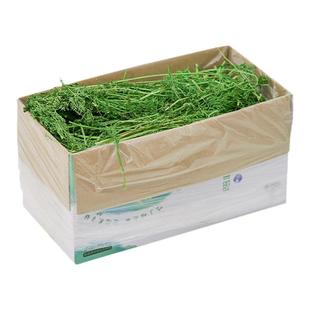 25年烘干胡萝卜缨樱叶兔子龙猫豚鼠保健草补充维C辅助消化干草