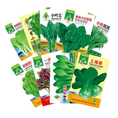 鸡毛菜种子四季盆栽|万人加购