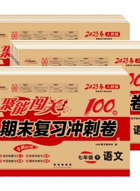 聚能闯关100分期末复习冲刺卷