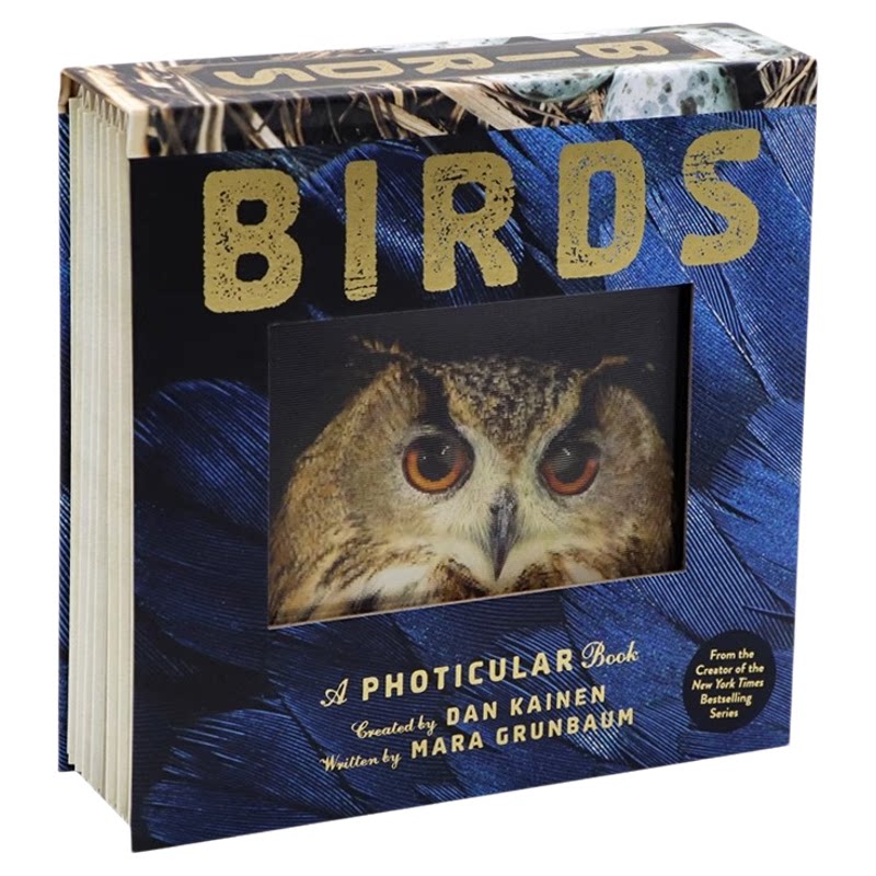 光与影视觉动画书系列鸟类 会动的3D鸟类科普图片 英文原版 Birds A Photicular Book 纽约时报绘本畅销书 精装 Mara Grunbaum