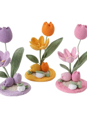 成品手工钩织盆栽毛线花盆教师节伴手礼品办公桌装饰摆件电脑桌花
