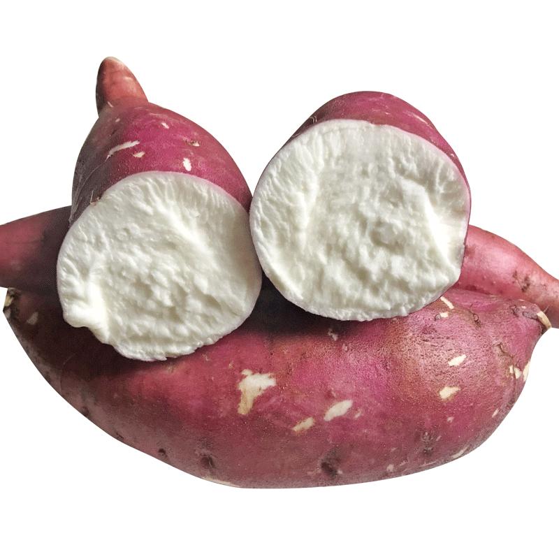 白心板栗薯新鲜红薯栗