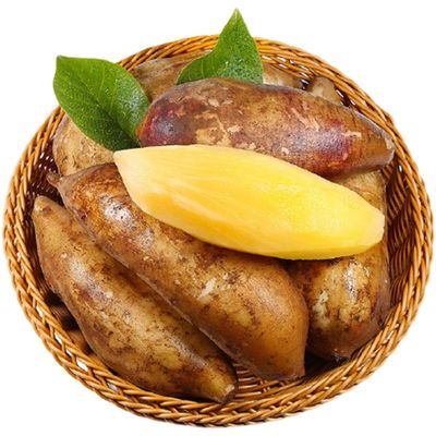 【甄选】云南天山雪莲果新鲜水果现挖现发黄心脆甜雪莲果整箱产地