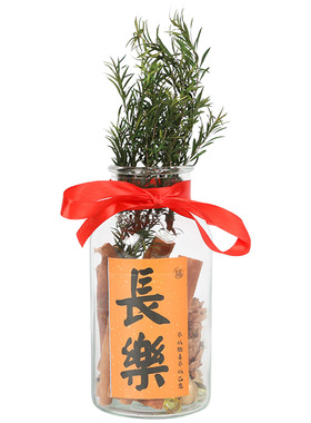 肉桂生财瓶摆件招财玻璃瓶