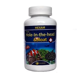 佩格大白片内寄外寄观赏鱼肠炎白点头洞突眼白便蹭缸水质稳定剂