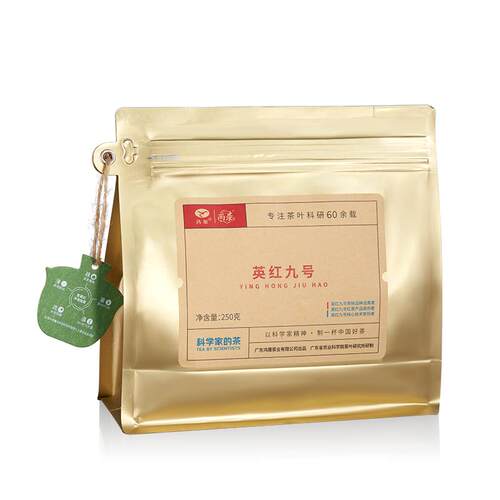 农科院茶科所鸿雁2026年正宗英红九号浓香型高端红茶250g生态茶园