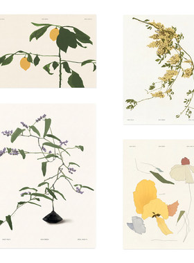 ANNA 韩国设计ins植物花卉艺术海报 北欧客厅餐厅卧室装饰画画芯