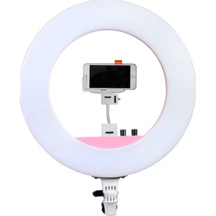 南冠南光R480C LED环形灯手机自拍照相摄影抖音直播补光灯美颜化妆摄像