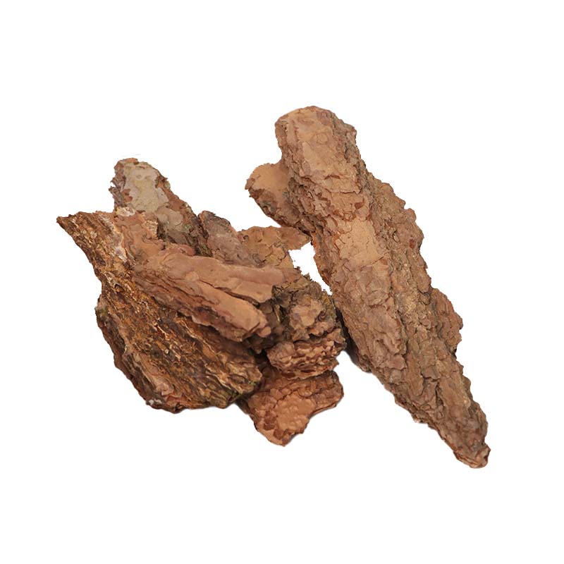 松树皮块松鳞发酵腐熟有机覆盖物