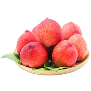 正宗四川水蜜桃树果苗新品种树苗阳山桃子苗树雪冬桃黄桃果树大全