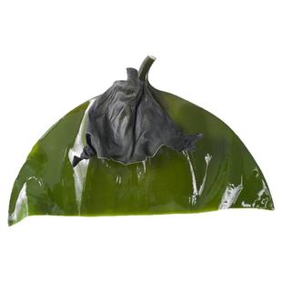 海带头干货去盐无沙淡干海带根山东荣成特厚烘干海带片商用批发